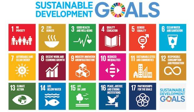 Overzicht Duurzame ontwikkelingsdoelstellingen
